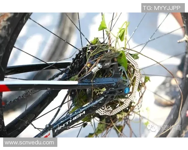 武汉极限运动队与广州极限运动队赛后复盘力量对比分析