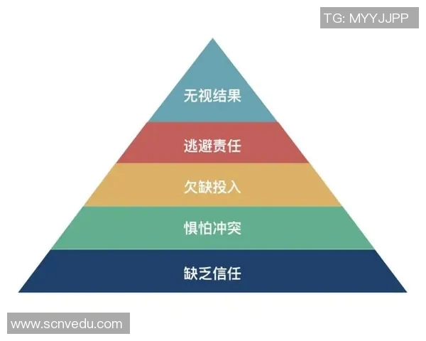武汉排球队技术探讨：提升战术水平与团队协作的关键因素