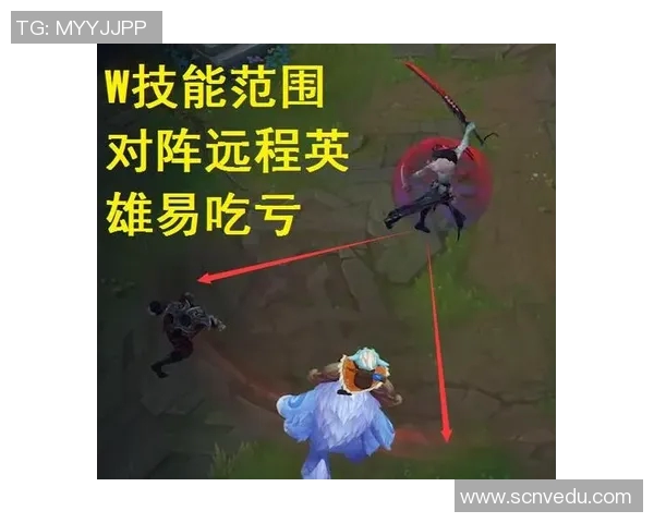 科学英雄联盟中的灵活性训练方法探索与实践分享