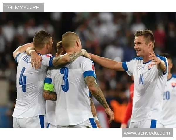 北爱尔兰与瑞士精彩对决直播全程回顾与分析