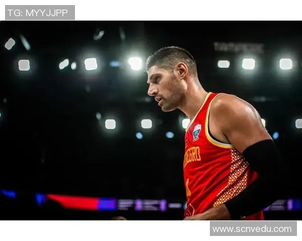 尼古拉武切维奇的艺术之旅与创作灵感探讨