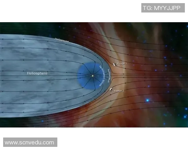 太阳与自由直播视频下载的完美结合探索与分享新视野