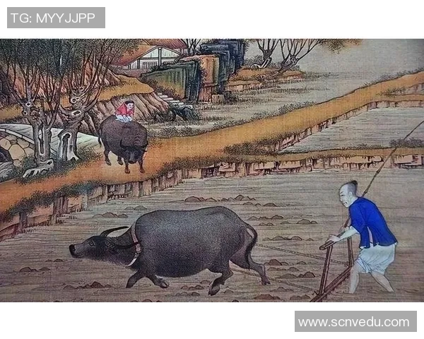 徐昕的艺术之路探索与创新对当代文化的深远影响与启示