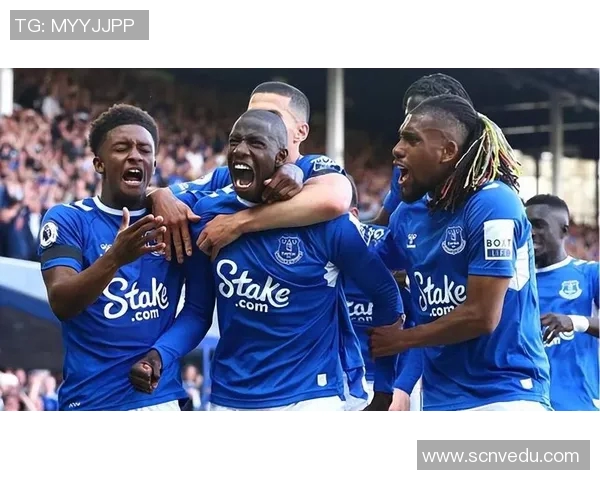 曼城与埃弗顿在1617赛季的精彩对决回顾与分析