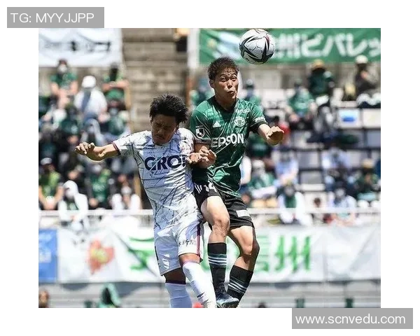 甲府对阵新泻精彩直播全程回顾与赛后分析尽在此处