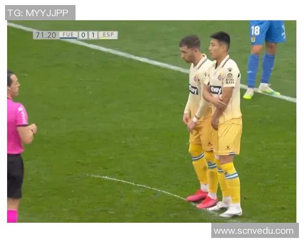 爱尔兰与格鲁吉亚精彩对决赛果揭晓球迷热议比赛亮点与精彩瞬间