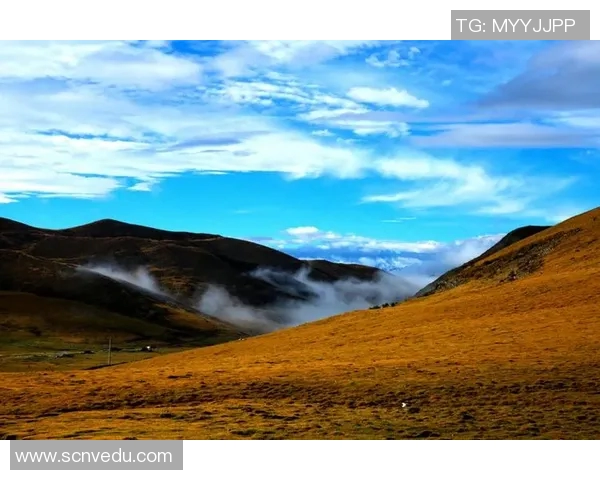 罗凯文的成长之路与人生哲学探讨：从平凡到卓越的心灵旅程
