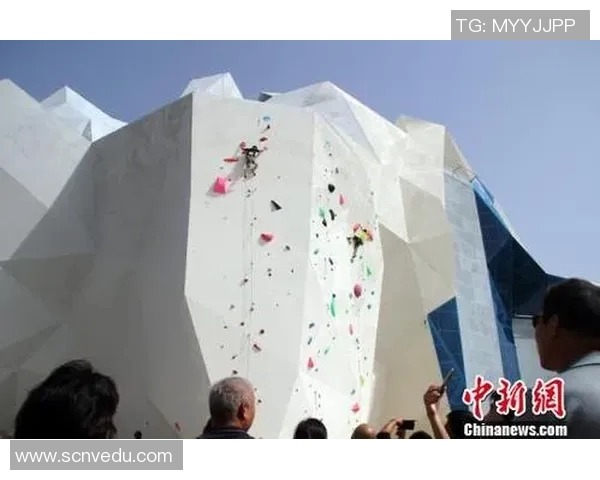 重庆攀岩队耐力表现数据分析探讨及训练建议