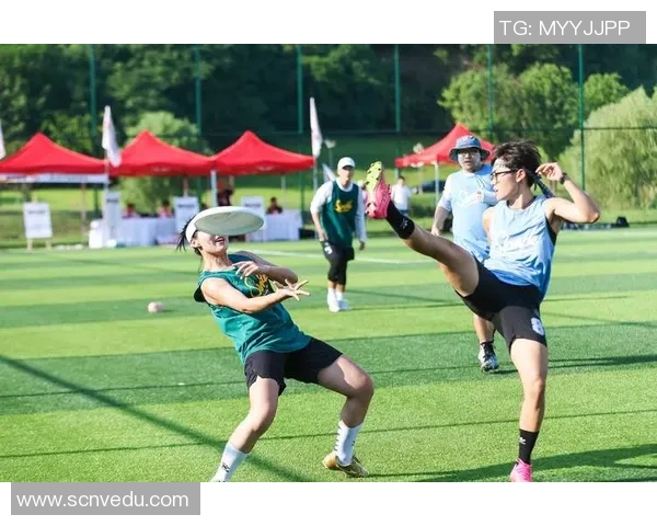 飞盘竞技的魅力与挑战：深入解析上海飞盘队的战术与团队协作