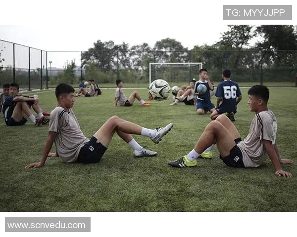 黎巴嫩与朝鲜足球历史交锋记录及比分回顾分析