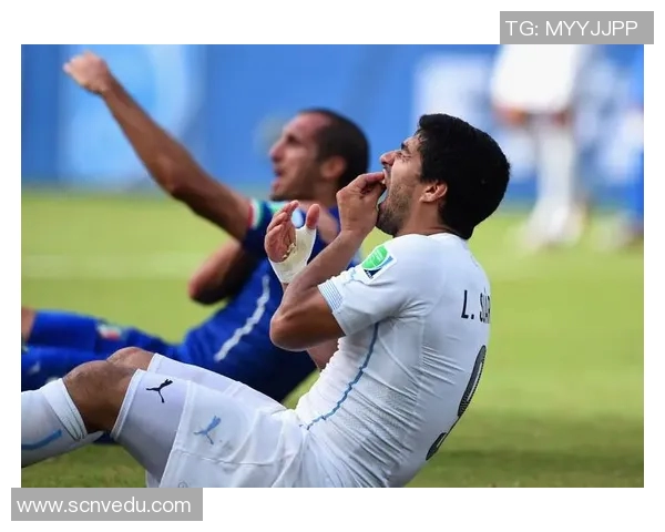 南特与亚眠激战正酣比赛结果揭晓精彩瞬间回顾与分析